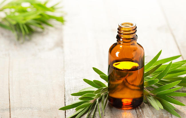 Top 10 Essential Oils to Keep On Hand